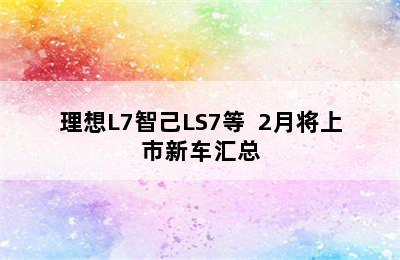 理想L7智己LS7等  2月将上市新车汇总